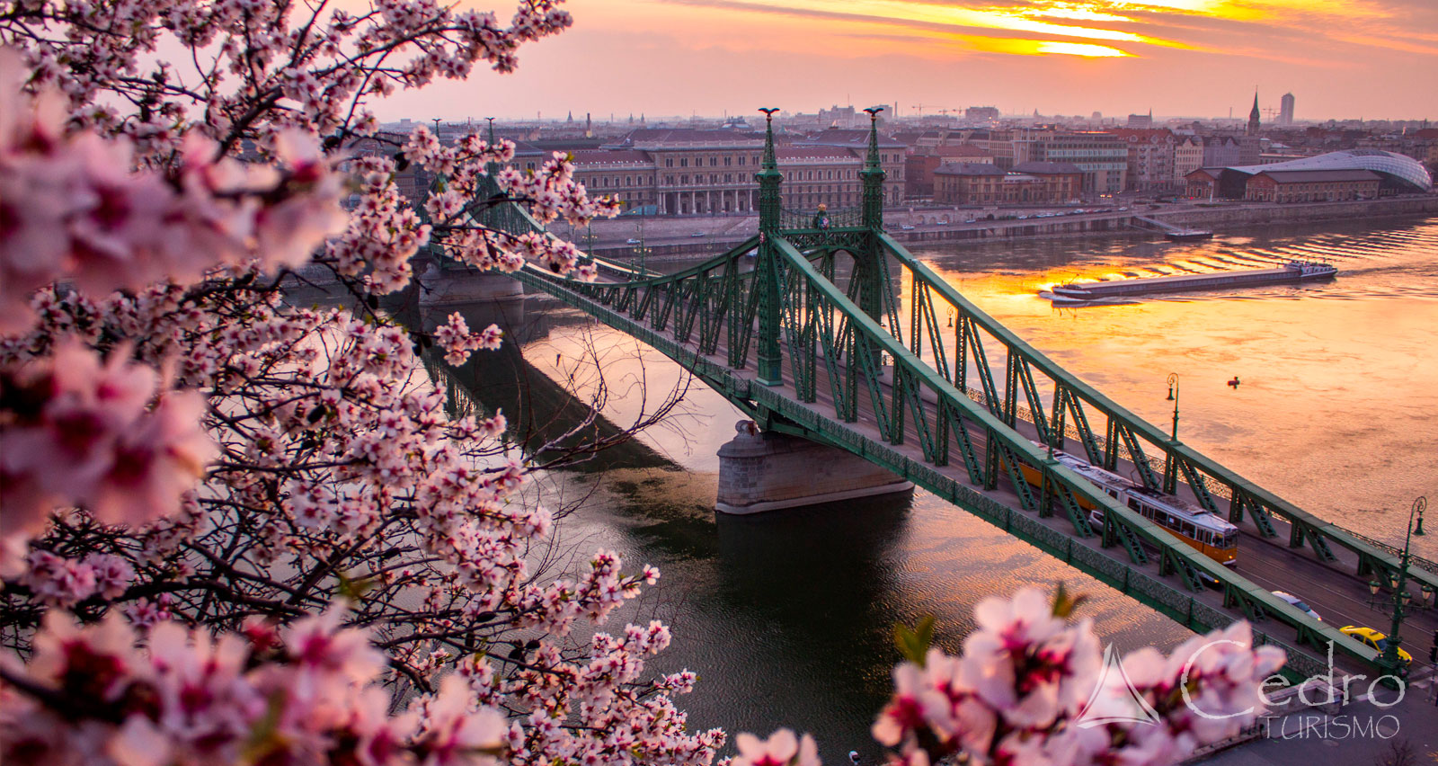 Ponte linda com flores Japão cerejeiras